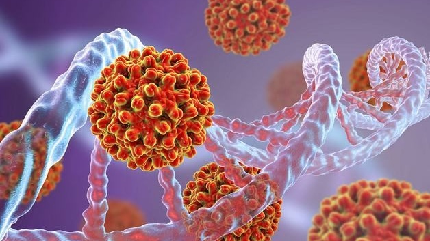 Viêm gan B và viêm gan C khác nhau chỗ nào? Những điều cần biết 1