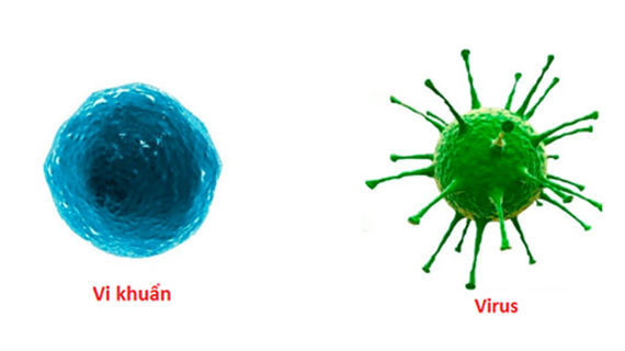 viem-phoi-thuy-la-gi-nguyen-nhan-va-trieu-chung-benh-ra-sao 2.jpg