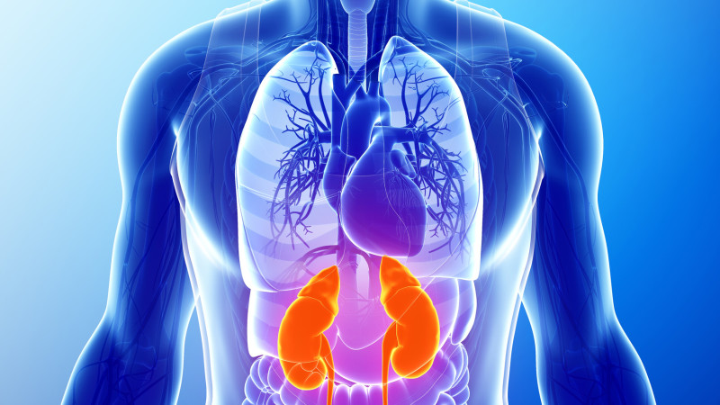 Viêm thận lupus: Triệu chứng và phương pháp điều trị 1