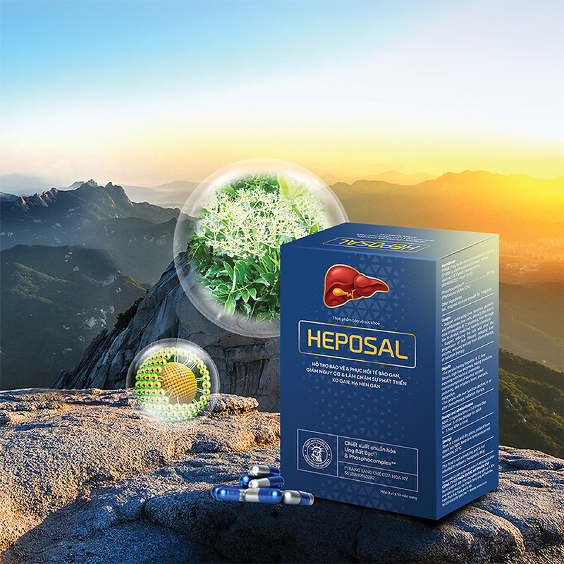 Viên uống Heposal: Giải pháp bảo vệ gan hiệu quả3