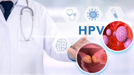 Virus HPV có ở đâu? Virus HPV tồn tại ngoài môi trường bao lâu? 2