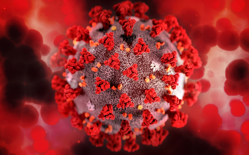 Virus HPV lây qua đường nào? Làm sao để tránh lây nhiễm? 4