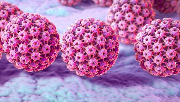 Virus HPV type 11 có nguy hiểm không?