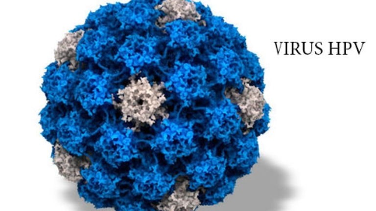 virus-hpv-type-12-co-nguy-hiem-khong.jpg