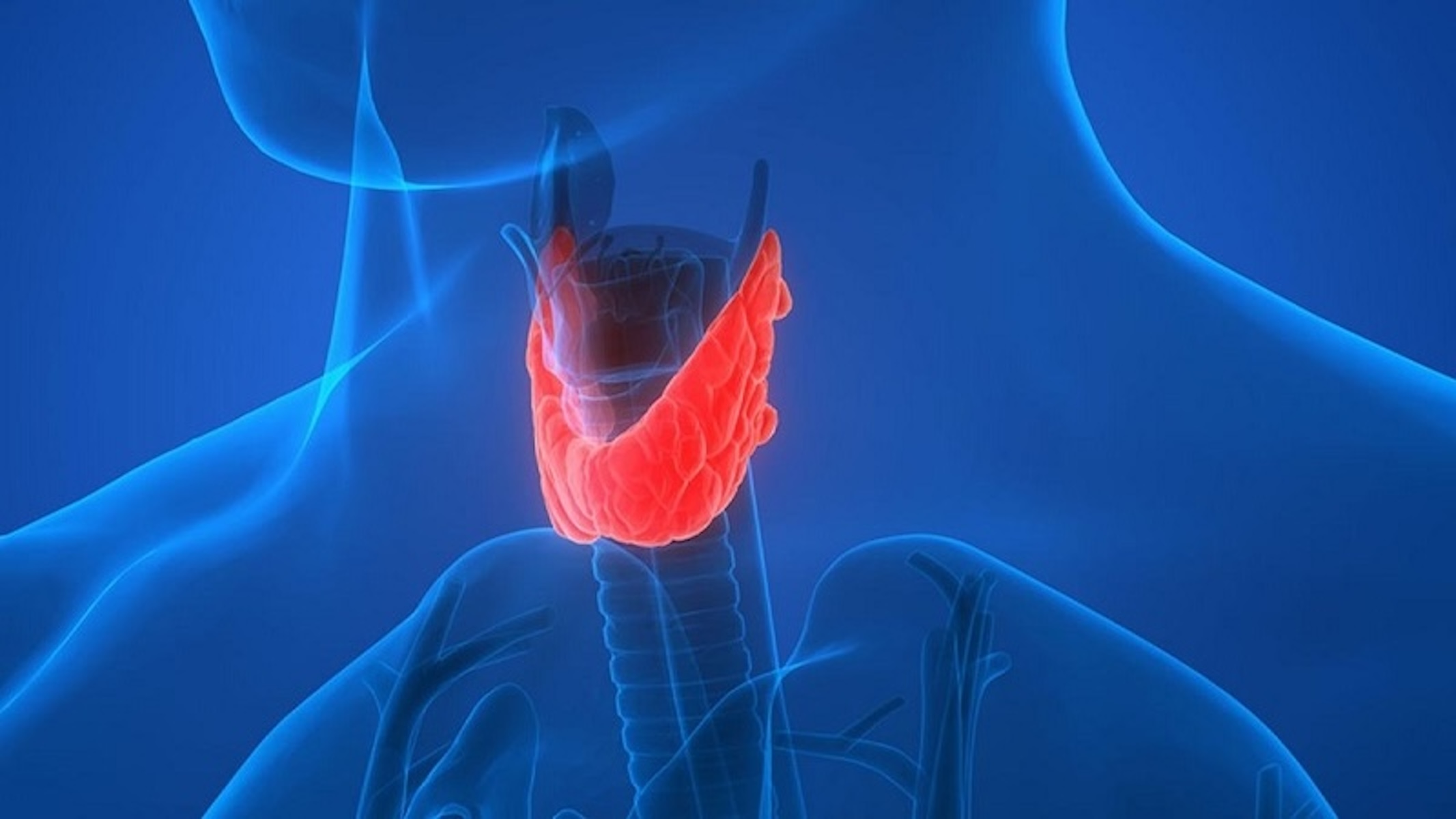 Vitamin B6 (Pyridoxine): Tại sao là chìa khóa hỗ trợ chuyển hóa protein và giảm mỡ hiệu quả? 2