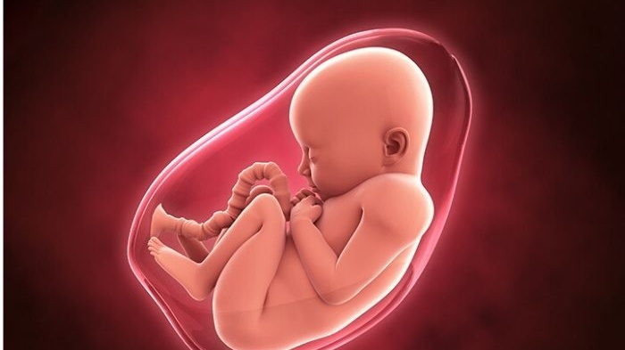 Vỡ ối là gì? Mẹ bầu cần làm gì khi bị vỡ ối? 2