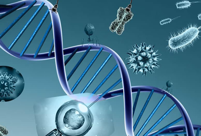 Vô sinh là gì? Bệnh vô sinh có di truyền không? 5