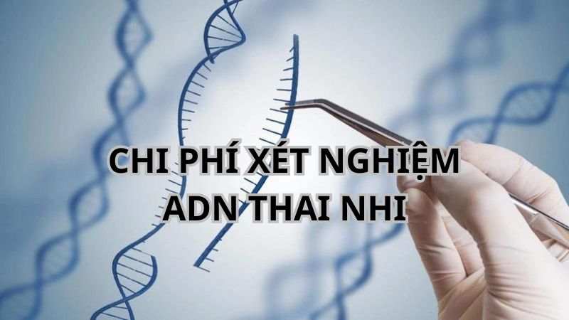 Xét nghiệm ADN thai nhi hết bao nhiêu tiền? 4