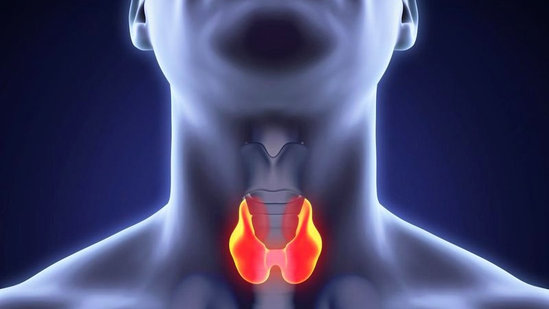 Xét nghiệm Anti TPO là gì? Ý nghĩa của xét nghiệm Anti TPO 2