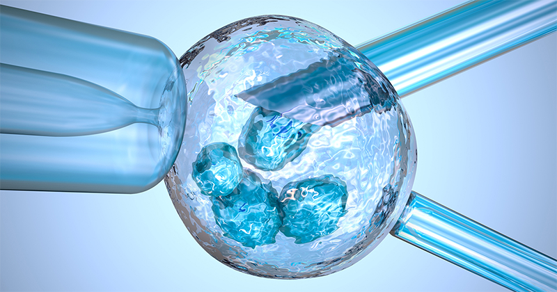 Xét nghiệm di truyền tiền làm tổ (PGT) là gì? Ai nên làm xét nghiệm này? 1