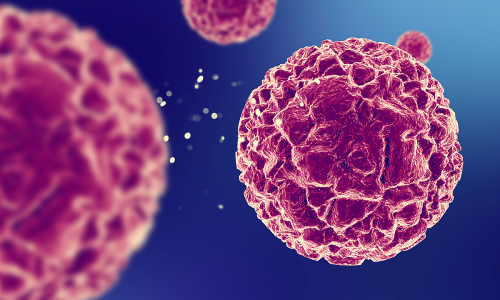 Xét nghiệm HPV bao nhiêu tiền? Quy trình như thế nào? 1