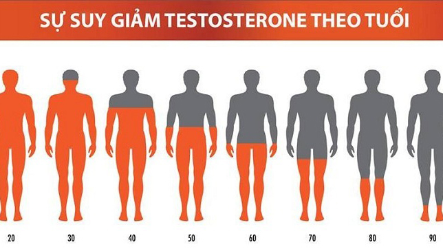 Xét nghiệm nội tiết tố nam là gì? Giá bao nhiêu? 3