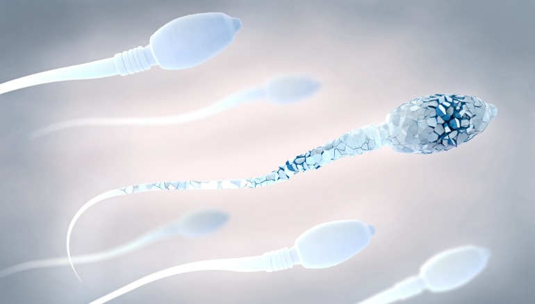 xet-nghiem-phan-manh-dna-tinh-trung-chan-doan-cac-yeu-to-di-truyen-ve-vo-sinh 2.jpg