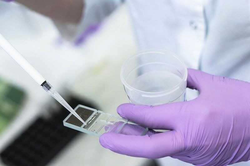 xet-nghiem-phan-manh-dna-tinh-trung-chan-doan-cac-yeu-to-di-truyen-ve-vo-sinh 3.jpg