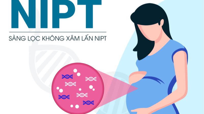 Xét nghiệm sàng lọc ADN ngoại bào là như thế nào? 1