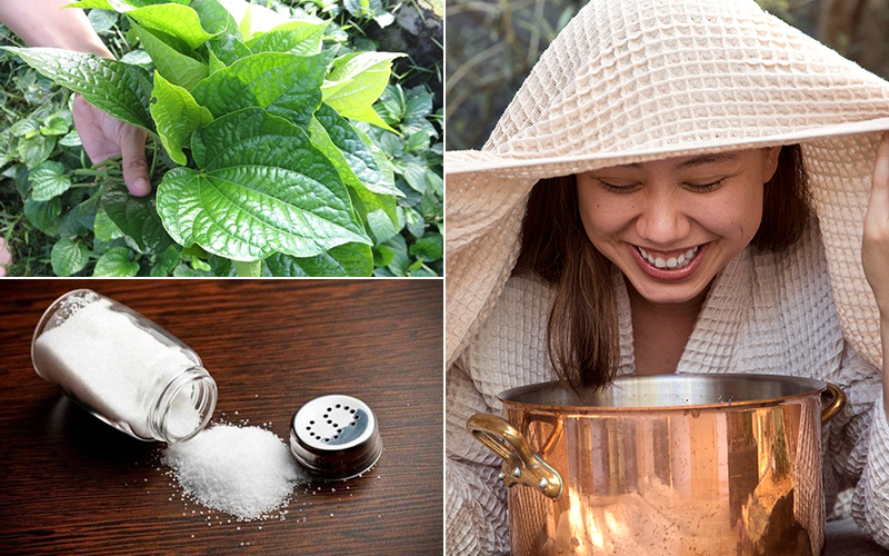 Cách xông hơi bằng lá lốt đơn giản tại nhà 3