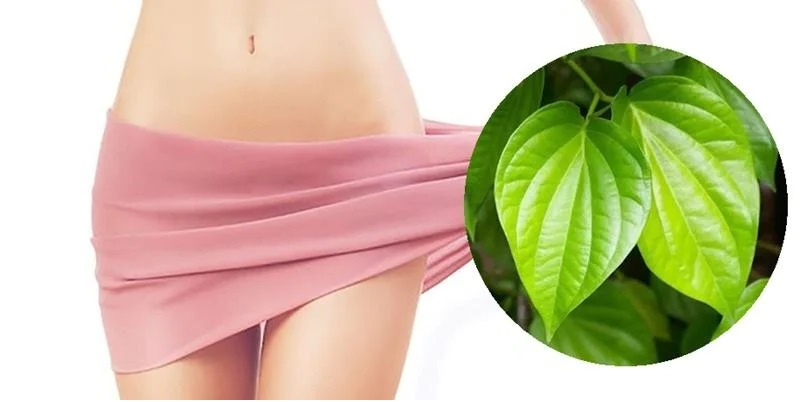 Cách xông hơi bằng lá lốt đơn giản tại nhà 4