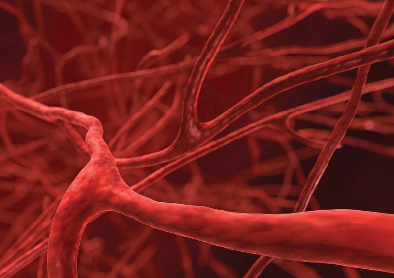 xuat-huyet-noi-la-gi-trieu-chung-canh-baxuat-huyet-noi 2.jpg