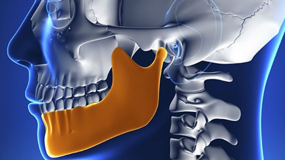 Xương hàm: Cấu tạo, chức năng và một số bệnh lý liên quan 2