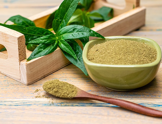 Xuyên tâm liên có tác dụng phụ gì? Lưu ý khi dùng xuyên tâm liên 2